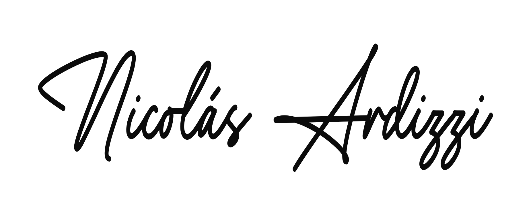 Nicolas Ardizzi luthier